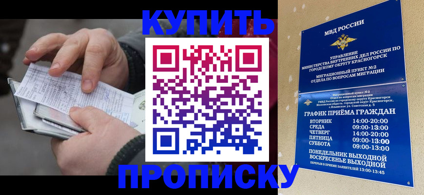 временная регистрация недорого в Заволжье